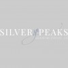 Silver Peaks Accounting Services