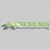 Excelsis Accounting Group