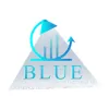 Blue Accounting, Tax & Consulting Firm