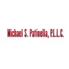 Michael S Patinella
