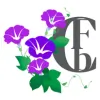 Carefree Bookkeeping Services