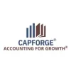 CapForge Bookkeeping, Tax & More