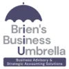 Briens Business Umbrella