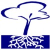 Frayer & Associates