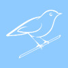 Bluebird Accounting & Tax